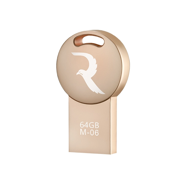 فلش مموری ریووکس مدل REEWOX M06 64GB